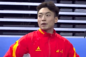 全运会体操男子双杠决赛，邹敬园金牌、张博恒银牌