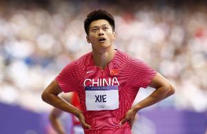 谢震业：4年太长也许是我最后一届了，我的坚持可能是我的任性