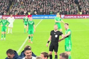 爱尔兰主帅：C罗下场时对我说是因为我对裁判施压