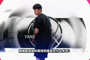 如果参考今年首轮所有中锋！杨瀚森目前处在什么水平？