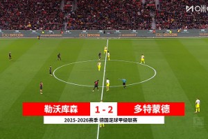 【集锦】德甲-阿德耶米破门 多特2-1客胜勒沃库森升至第三